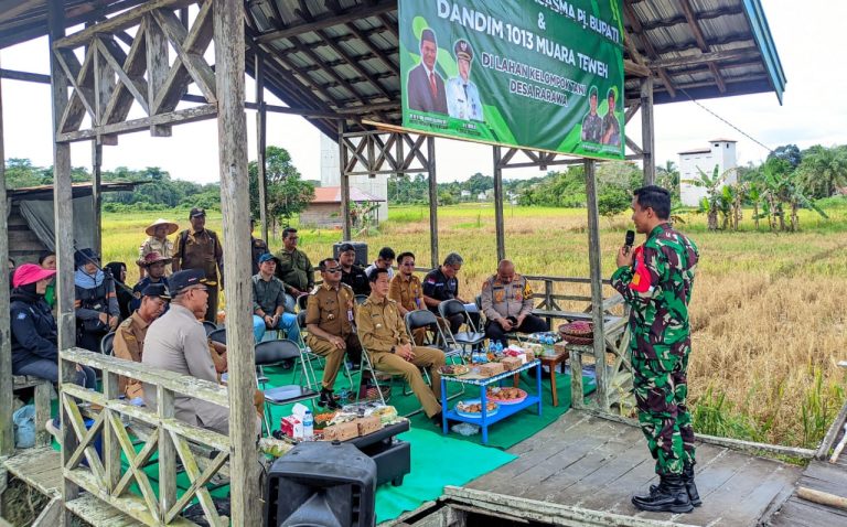 Dandim 1013/Mtw. Panen Padi Bersama FKPD dan Warga Desa 