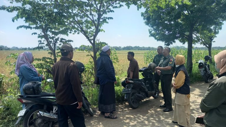Kolaborasi Untuk Kesejahteraan Petani Babinsa Laksanakan Komsos Dengan PPL Petani Dan Petugas Bulog
