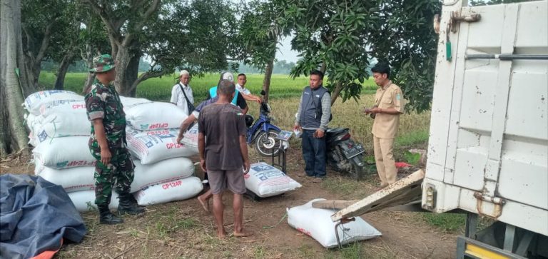 Babinsa Bersama PPL, Dampingi Bulog Dalam Rangka Sergap