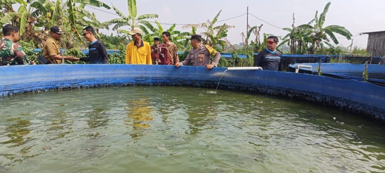 Implementasi Asta Cita, Polsek Gempol Gandeng Gapoktan Kembangkan Budidaya Lele