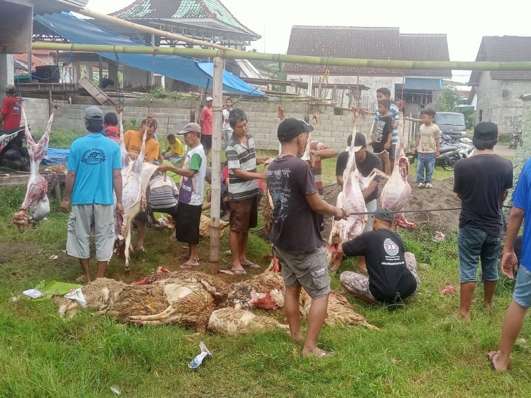 Momen Hari Raya Idhul Adha Warga Benculuk bersama Takmir masjid Jami Arsy, Berbagi kebahagian.