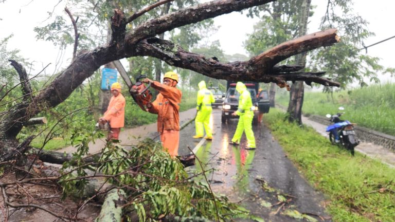 Respon Cepat Polisi dan BPBD Evakuasi Pohon Tumbang, Jalur Magetan – Bendo Kembali Lancar