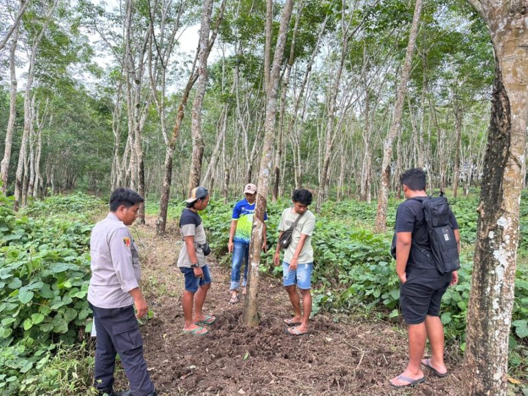 Satreskrim Polresta Banyuwangi Ungkap Kasus Pencurian Sapi dan Penadahan, Dua Tersangka Berhasil Diamankan