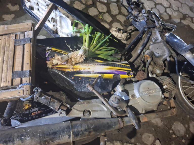 Elf Vs Sepeda Supra di Jalan Desa Tunjung Randuagung Korban Alami Luka Berat